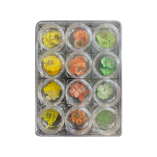 Airtouch Nail Art Dried , Flower Collection Set #02, 12 jars/box