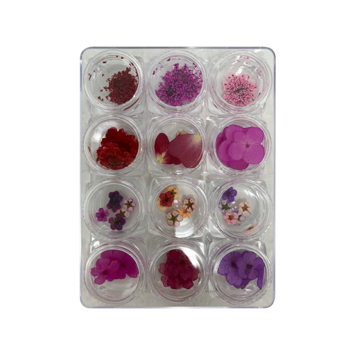 Airtouch Nail Art Dried , Flower Collection Set #01, 12 jars/box