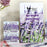 NBC Pedicure JELLY Spa 2 Step, CASE, LAVENDER (Pk: 30 sets/box)