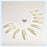 Lamour Pearl Tips, BIG BAG, Color list note, 000