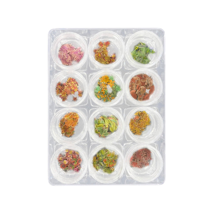 Airtouch Nail Art Paper, Autum Leaf Collection Set #04, 12 jars/box