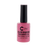 Chisel Black Diamond, Pink & White Gel, 0.4oz