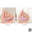 Cre8tion 0.5oz Gel - Rubbers/ Flexibility Base (18 Colors) Collection 000