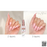Cre8tion 0.5oz Gel - Rubbers/ Flexibility Base (18 Colors) Collection 000