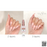 Cre8tion 0.5oz Gel - Rubbers/ Flexibility Base (18 Colors) Collection 000