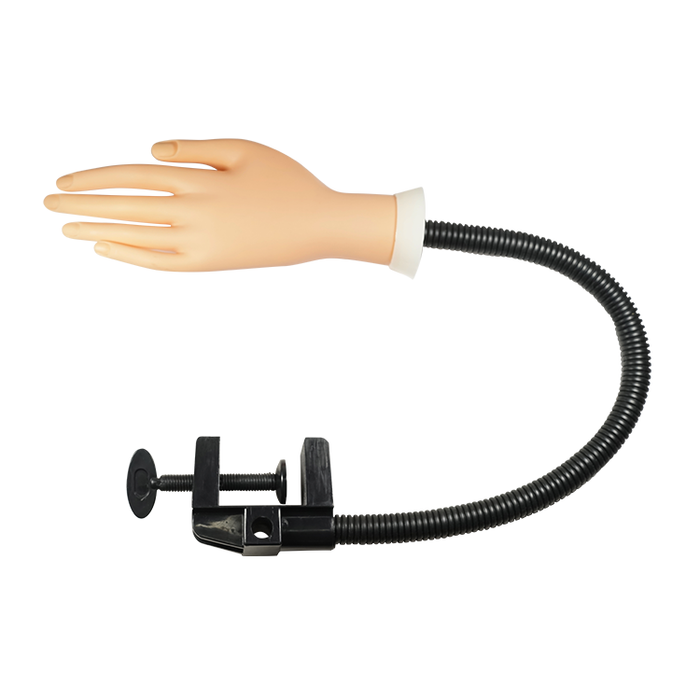 Soft Plastic Hand Model with Long Counter Clamp, 10185 (Packing: 20 pcs/case)