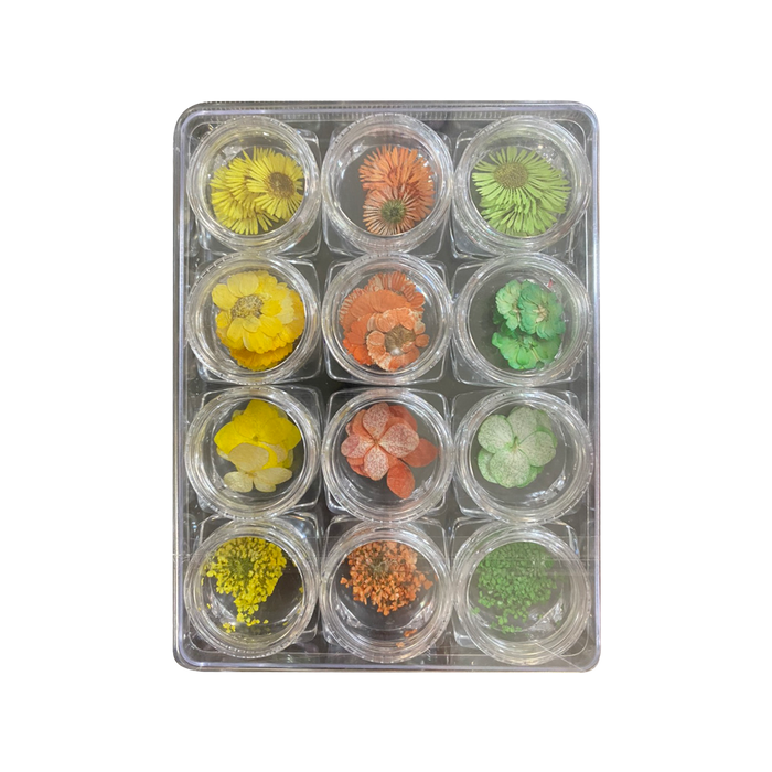 Airtouch Nail Art Dried , Flower Collection Set #02, 12 jars/box